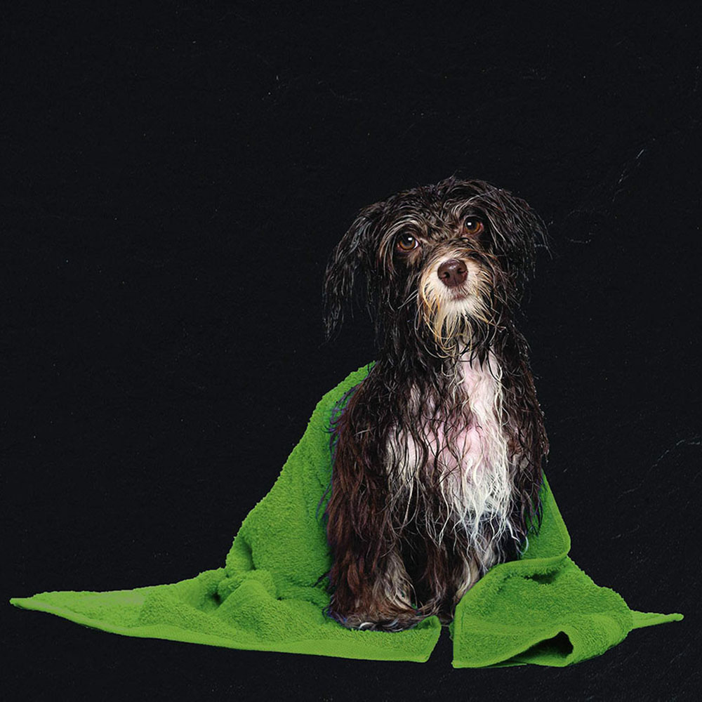 Grifo WC HIGIENE ÍNTIMA 2 aguas ORO cepillado - Imagen 7